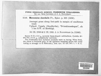 Image Associated With the Occurence